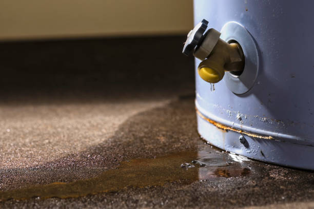 Best Sewage cleanup and water damage restoration  in Balmville, NY