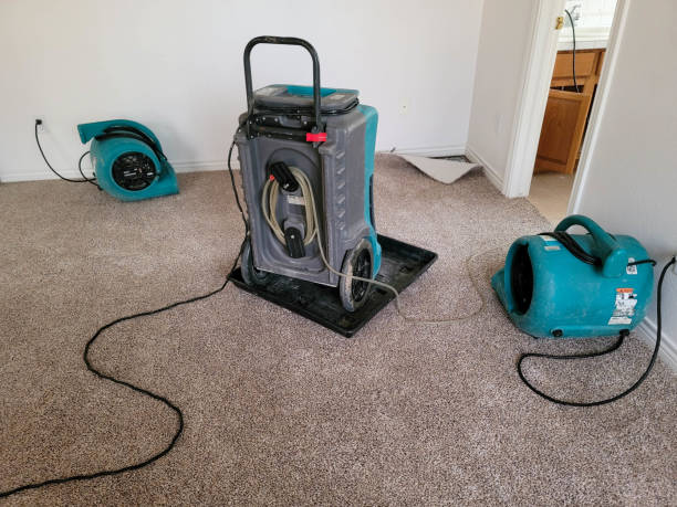 Best 24-hour water damage restoration  in Balmville, NY