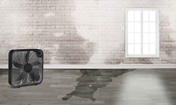 Best Water damage restoration near me  in Balmville, NY