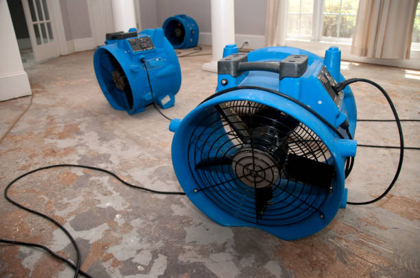 Best Carpet water damage restoration  in Balmville, NY