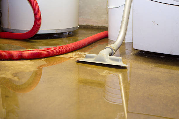 Best Mold removal after water damage  in Balmville, NY