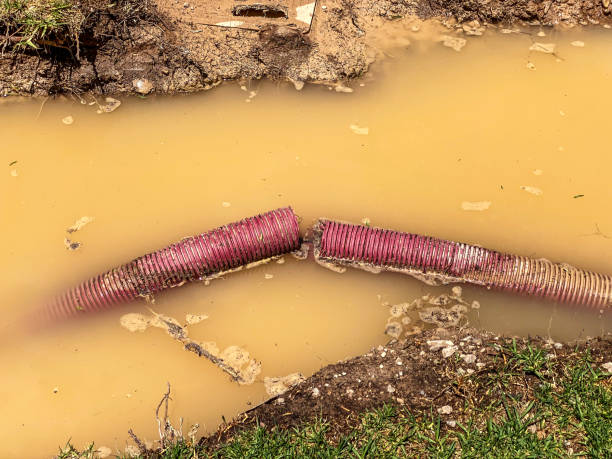 Best Residential water damage restoration  in Balmville, NY