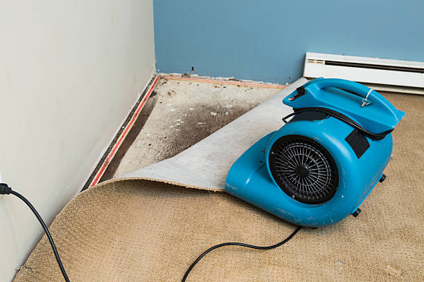 Best Water damage restoration insurance claims  in Balmville, NY